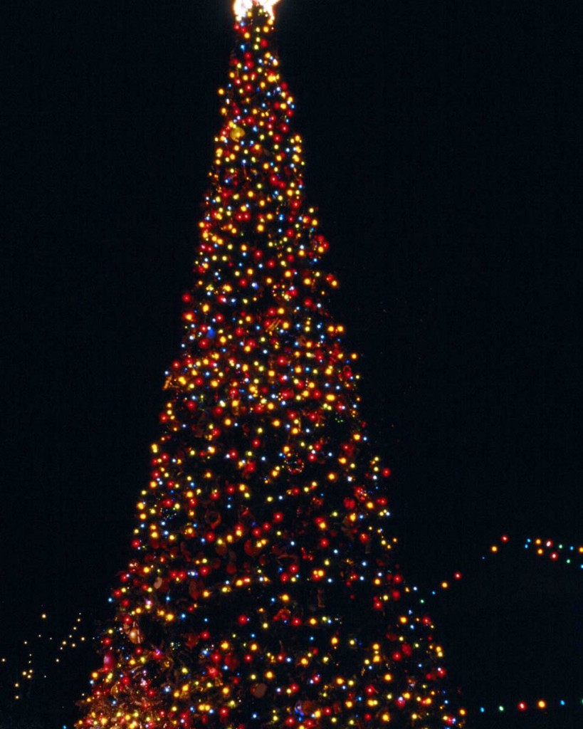De magnifiques illuminations décorent la ville !