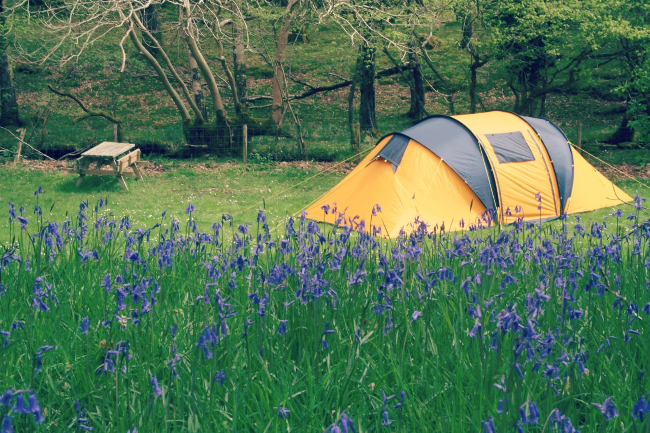 Le camping ou le retour convivial aux sources