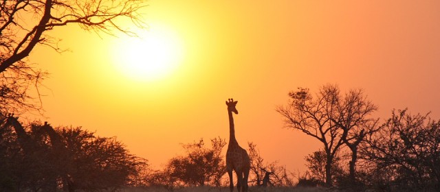 Lower Zambezi en Zambie