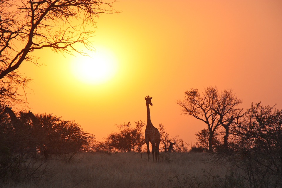 Lower Zambezi en Zambie