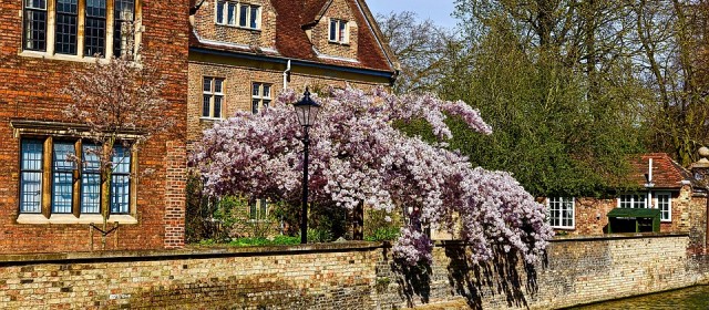Les plus beaux lieux à visiter lors d’un voyage à Cambridge