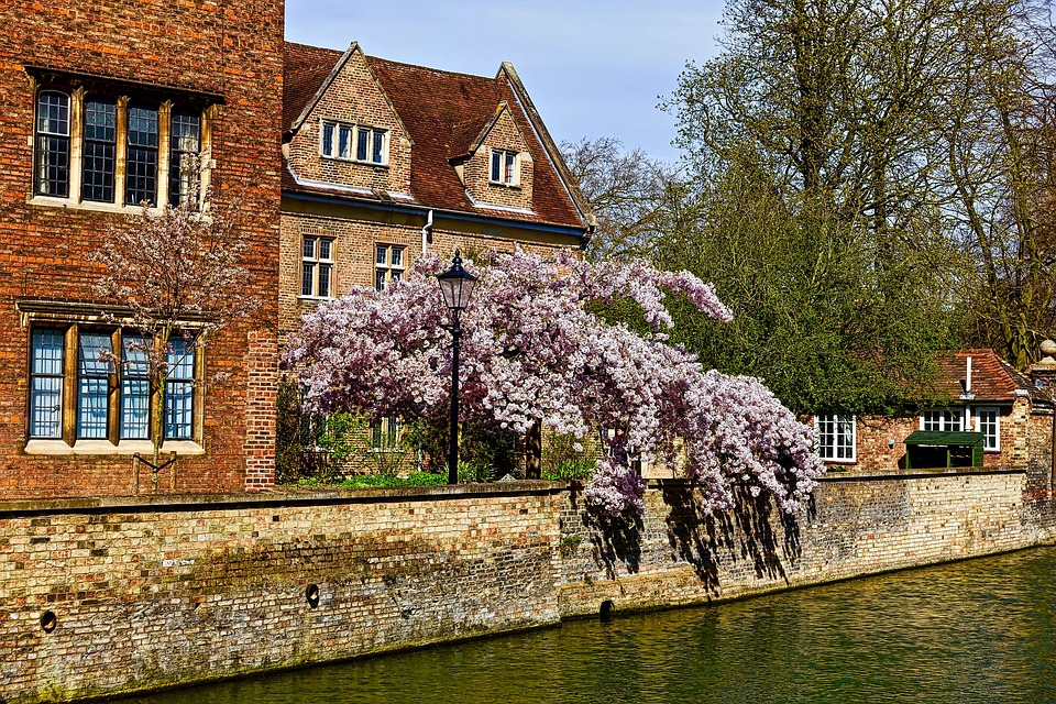 Les plus beaux lieux à visiter lors d’un voyage à Cambridge