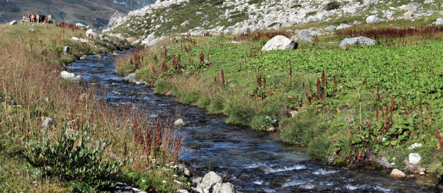 Partez en vacances dans un camping en bord de rivière !