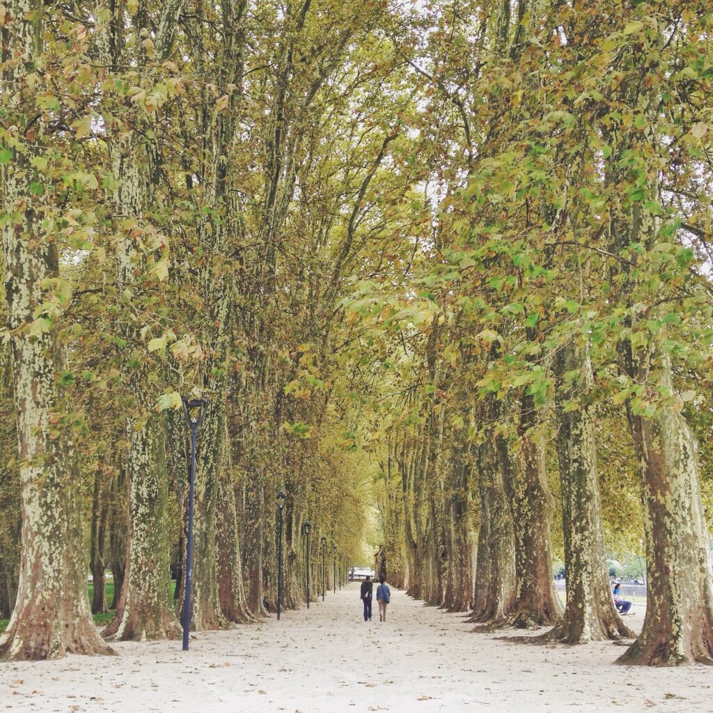 Besançon | France