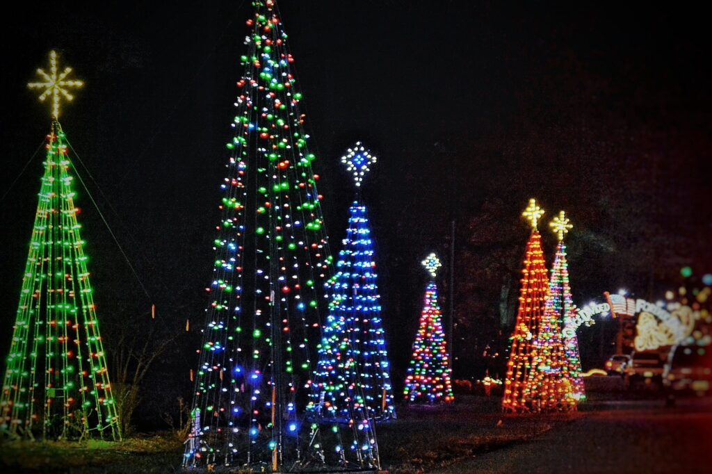 De-magnifiques-illuminations-décorent-la-ville